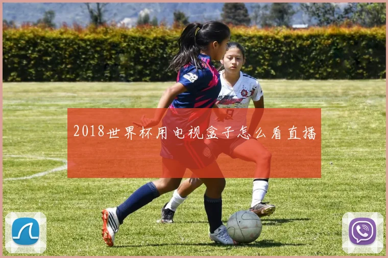 2018世界杯用电视盒子怎么看直播